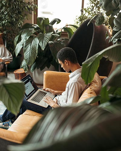 A man sits on a tan couch surrounded by large green plants, working on a laptop. Natural light streams in from windows behind him, creating a cozy and focused atmosphere.