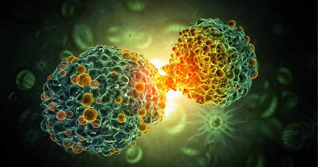 A close-up, digitally created image of a cell undergoing division, showing two round, textured cell bodies connected at the center with glowing yellow and green colors against a dark, blurred background.