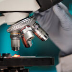 Close-up of a gloved hand adjusting the focus knobs on a laboratory microscope, with lens details visible and a specimen slide illuminated on the stage.